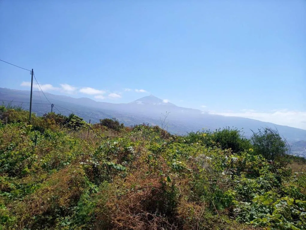 Image 3 of 2 bedrooms house with sea view and terrace at La Orotava 7 km away from the beach