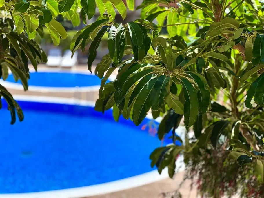 Image of 3-bedrooms apartament Vista Roja