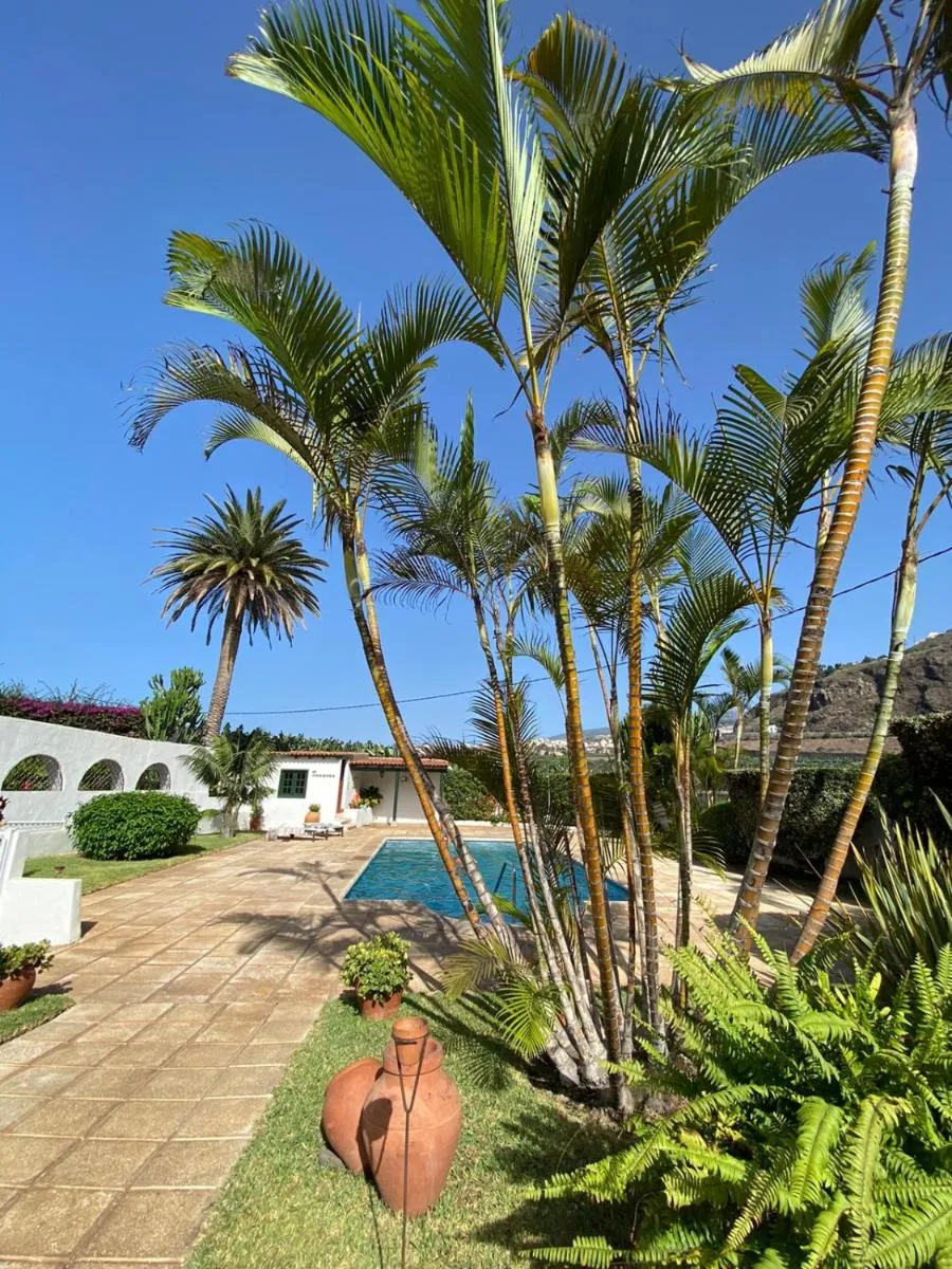 Image 6 of Hotel El Patio