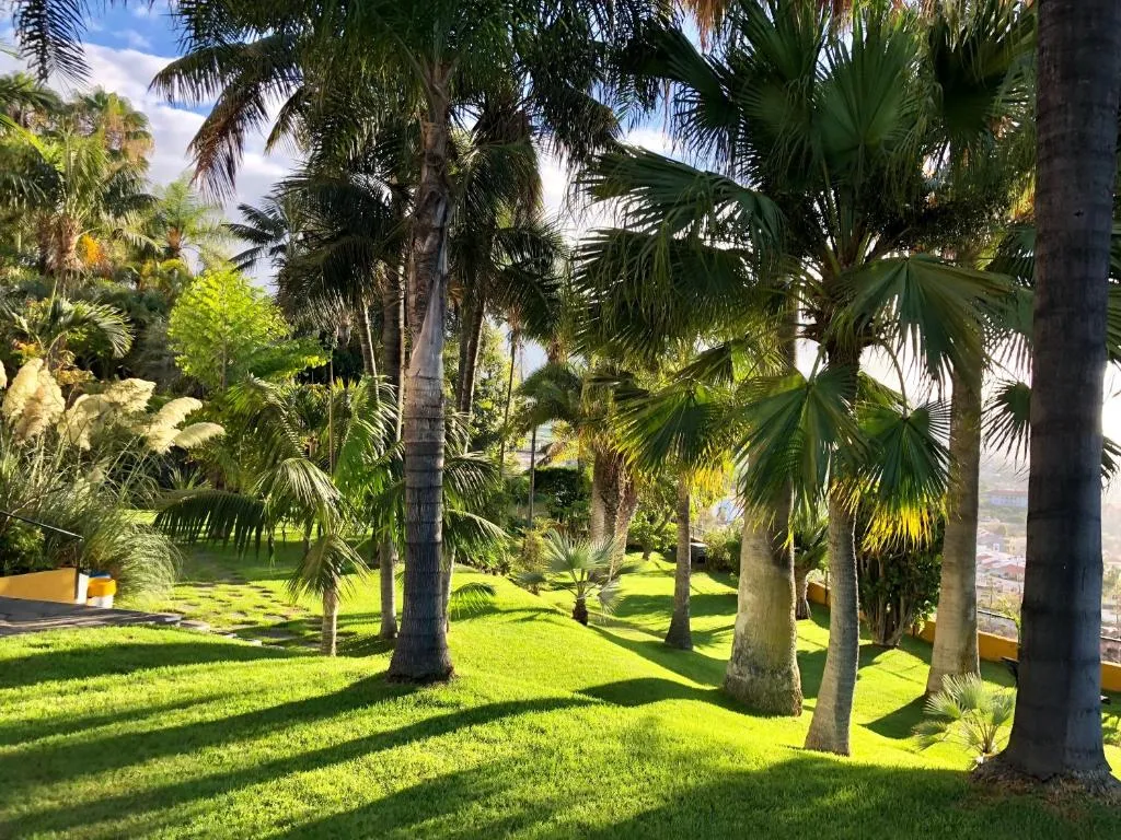 Image 2 of Hotel Tigaiga