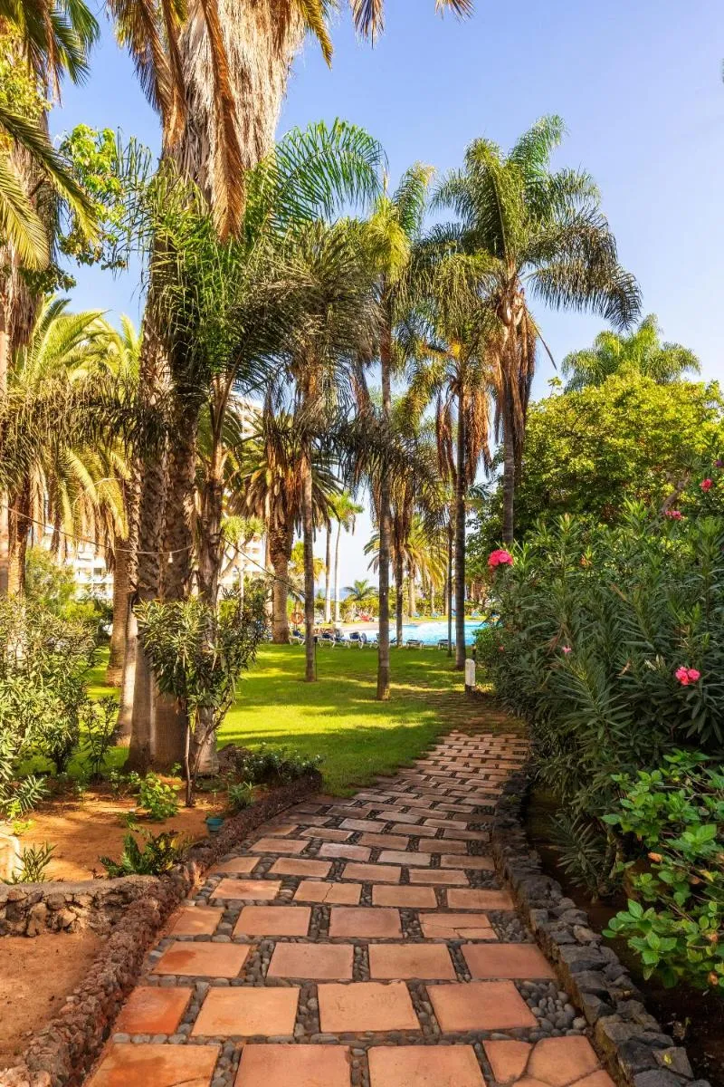 Image 6 of Precise Resort Tenerife