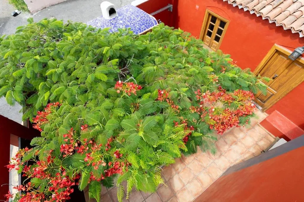 Image 3 of Rural house with traditional architecture S. XIX