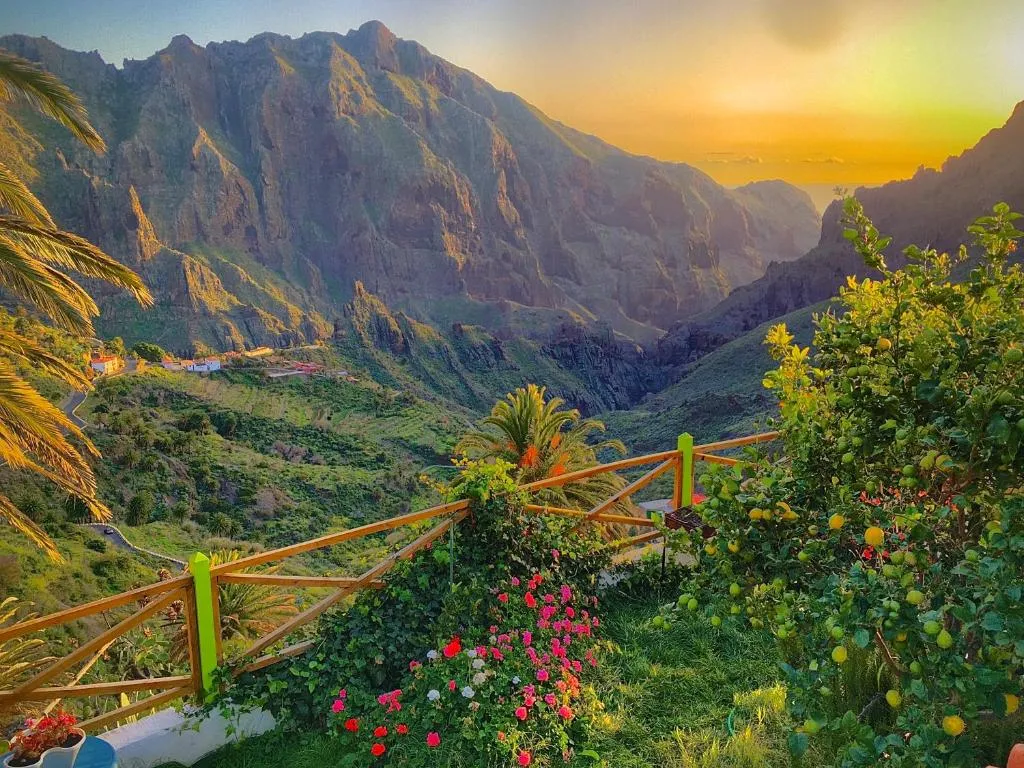 Image of Sweet Home Masca