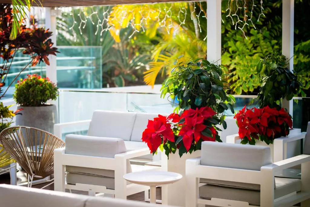 Image 4 of Vanilla Garden Boutique Hotel – Adults Only