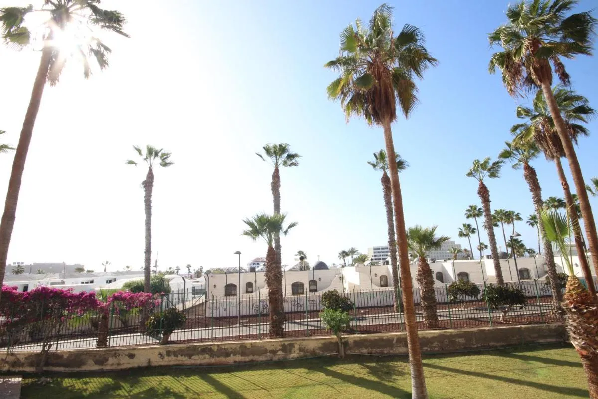 Image 5 of Apartment with terrace in Playa de Las Americas
