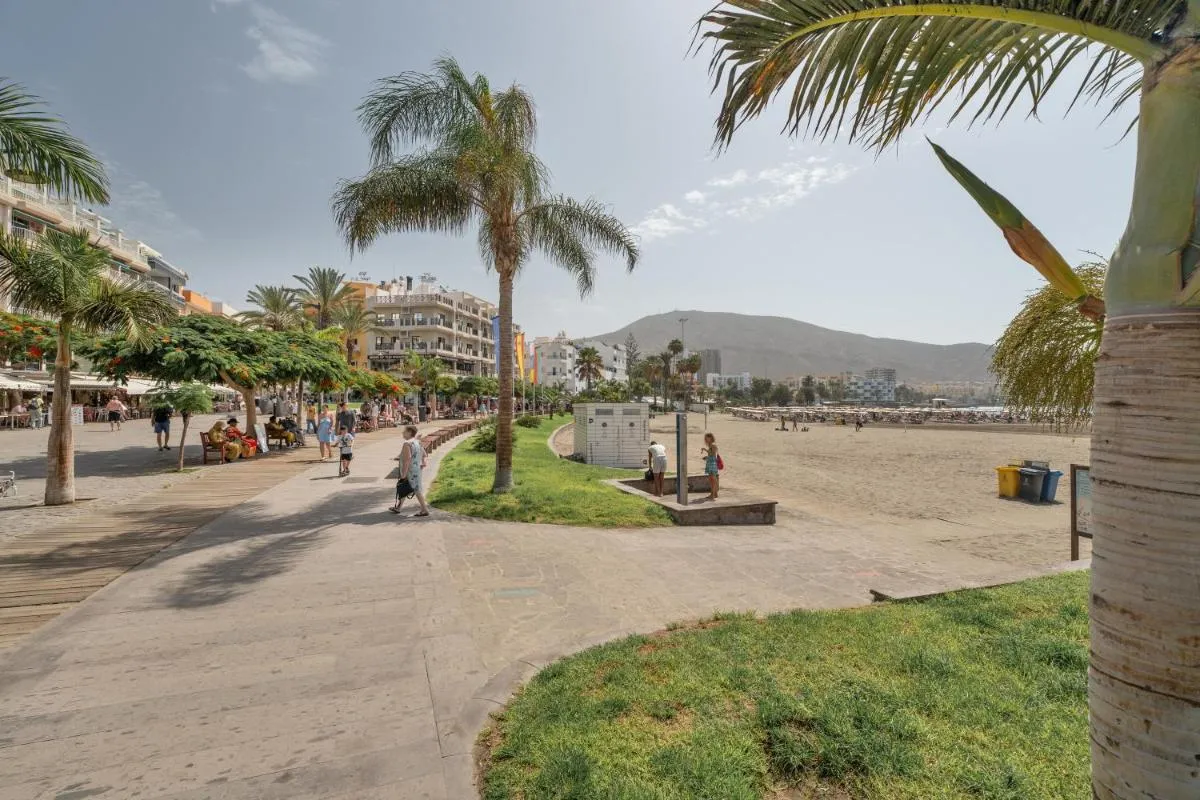 Image 5 of Apto Tomasol