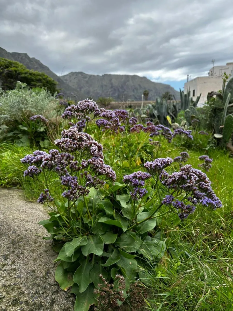 Image 3 of Aventura en Buenavista del Norte