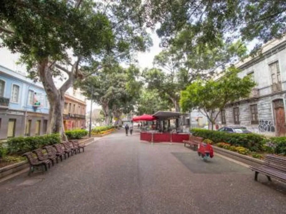 Image 6 of Bright lovely quiet flat very centric in SC