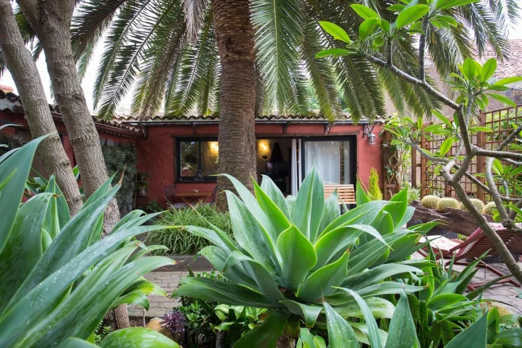 Image of Casa Palmera – Private Paradise