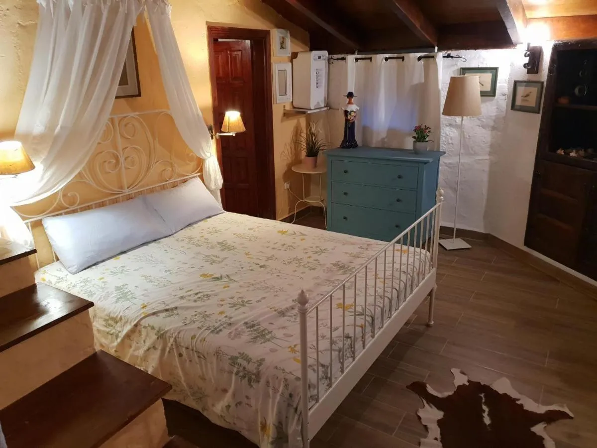 Image 1 of Casa Palmera – Private Paradise