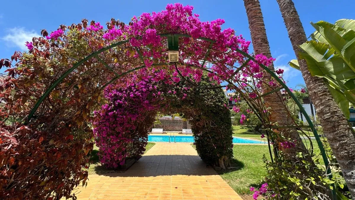 Image 3 of El Tajinaste III