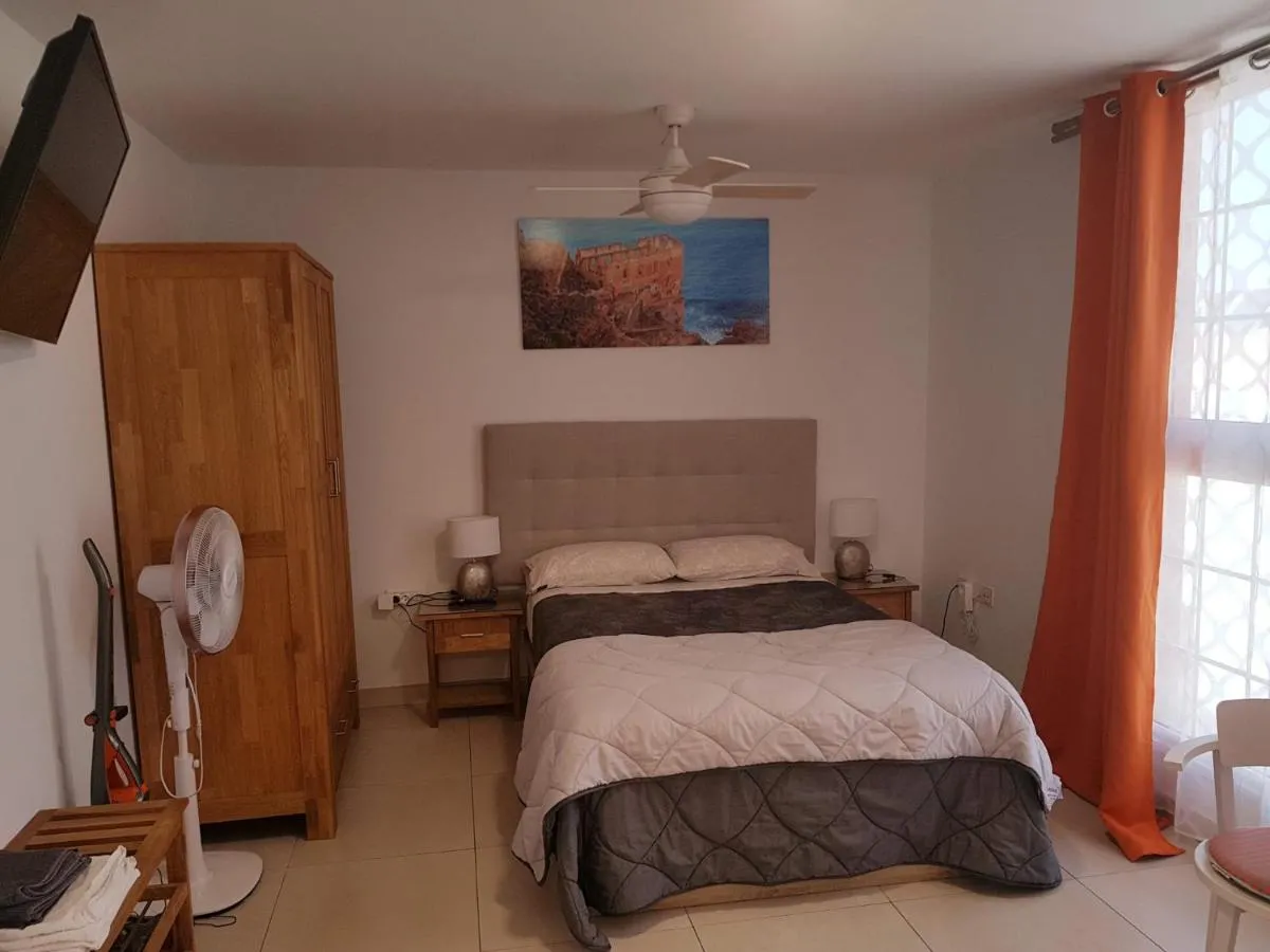 Image 1 of Estudio nuevo con baño, cocina y gran terraza