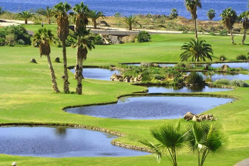 Image 6 of Los Cristianos Holidays