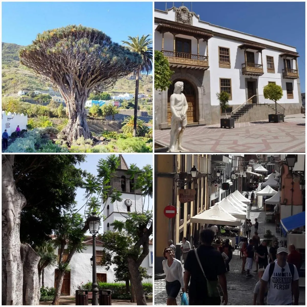 Image 5 of Plaza San Marcos