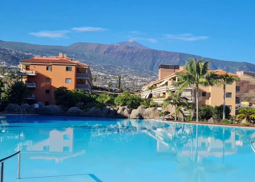 Image of Retama del Teide, Puerto de la Cruz