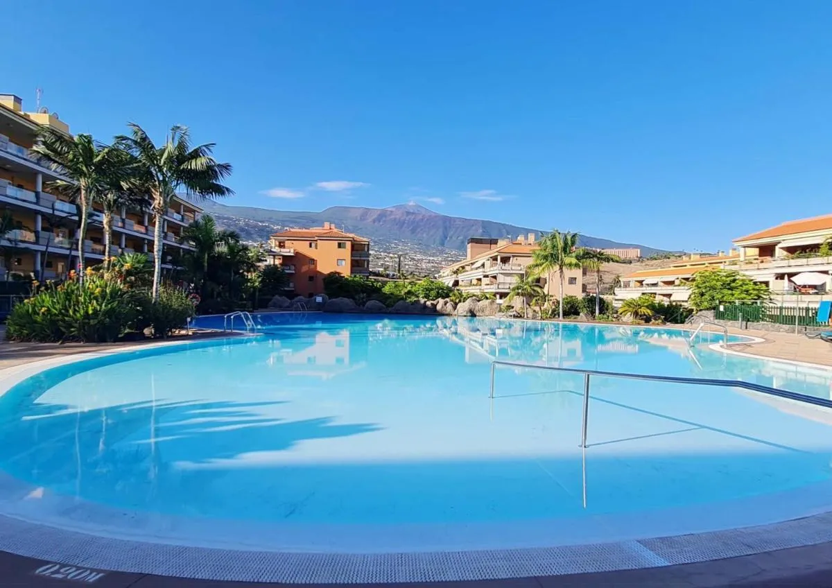 Image 2 of Retama del Teide, Puerto de la Cruz