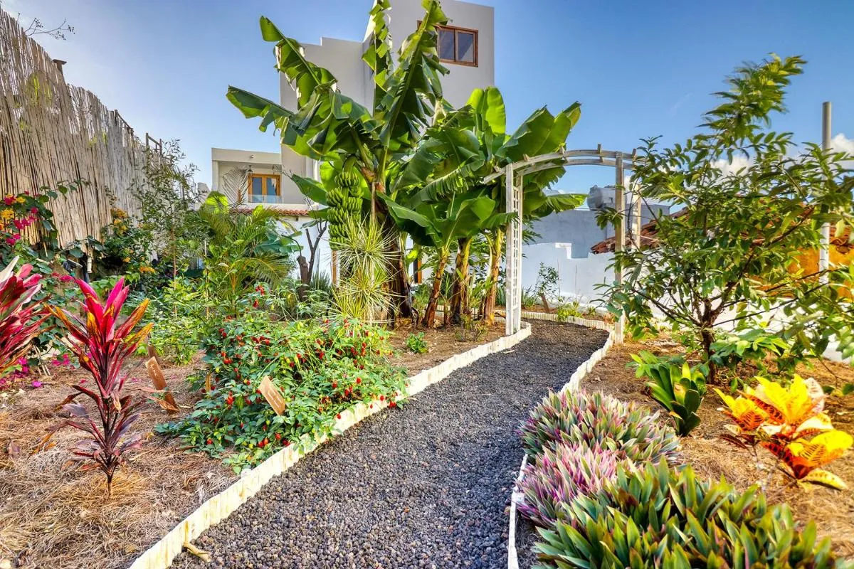 Image 5 of Spacious Home with Tropical Garden, BBQ, Near Seaside