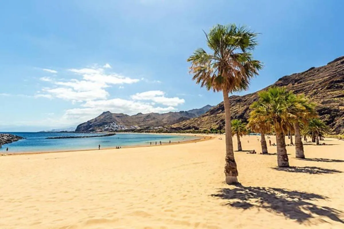 Image 5 of Sunnyland Ocean View Tenerife