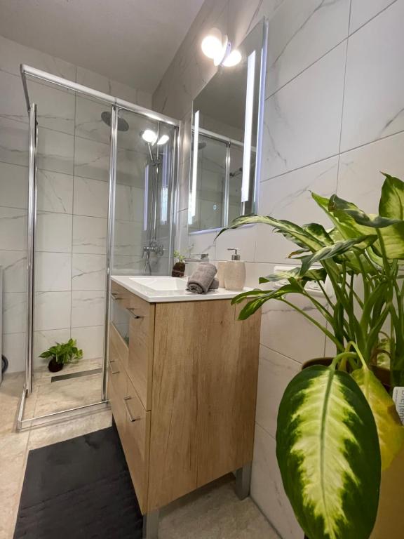 Image of Apartamento Garza Blanca
