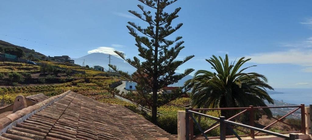 Image of Casa Canarina