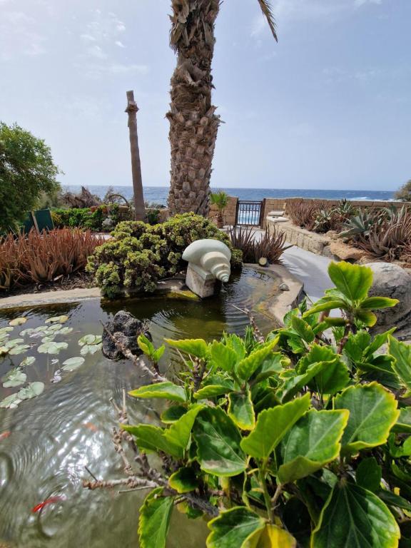 Image of Little Paradise in El Médano 2