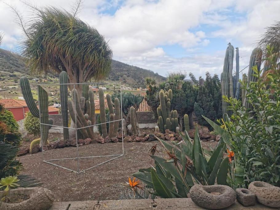 Image 4 of Los Cactus