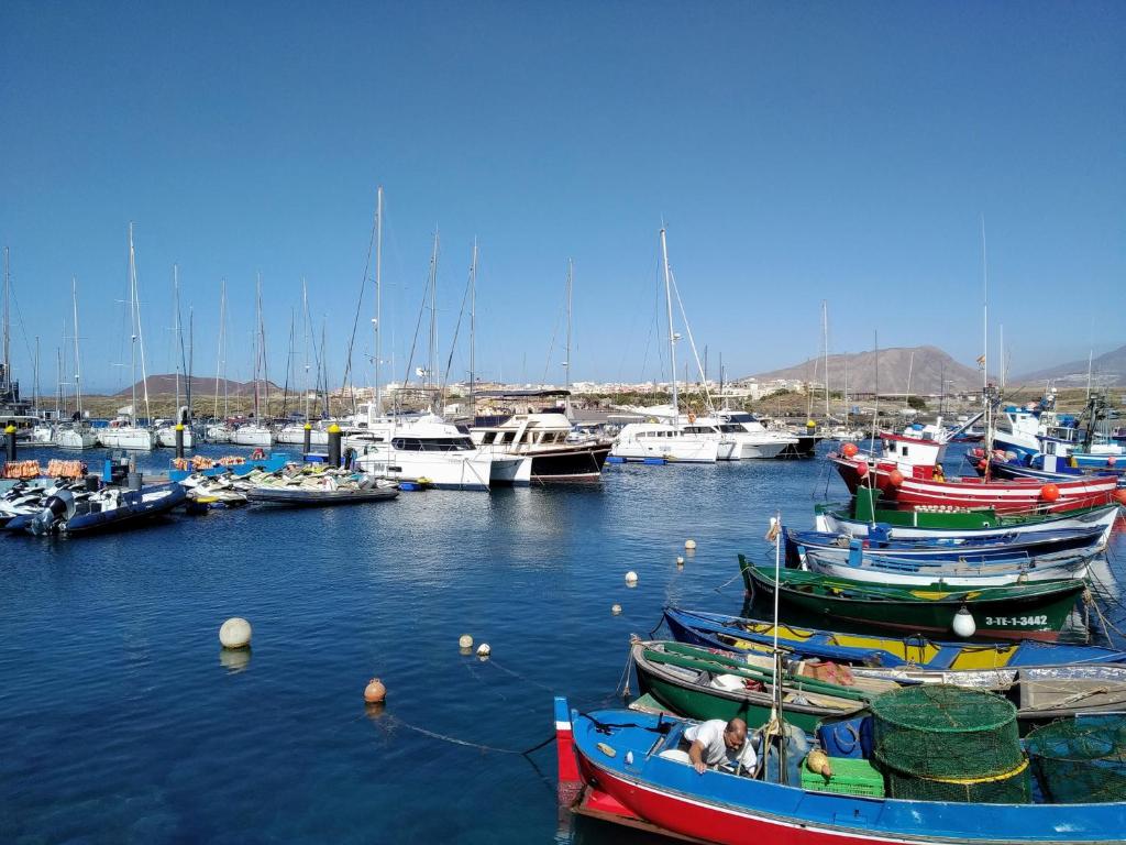 Image of Oasis Marina Apartament