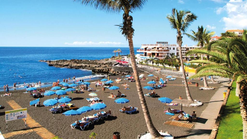 Image of Paraiso Canario