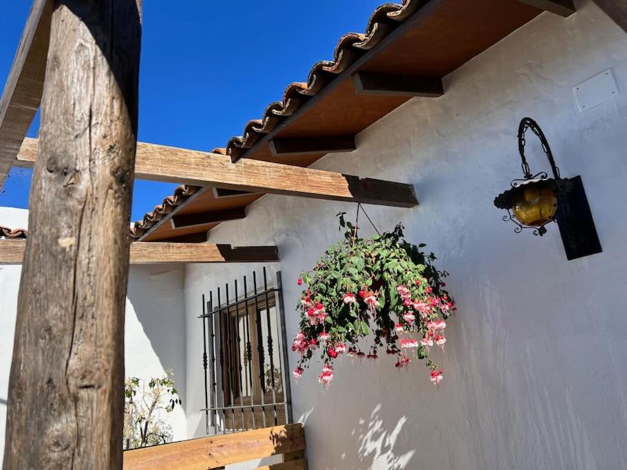 Image of The Zarzamora Canary Little Home