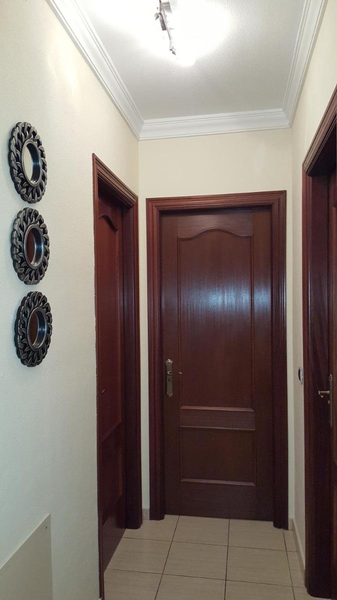 Image 6 of Toronjil