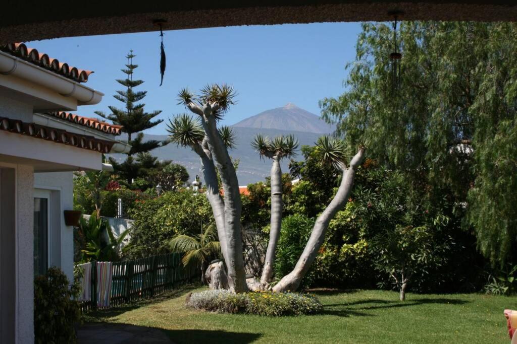 Image 1 of Villa Dragos