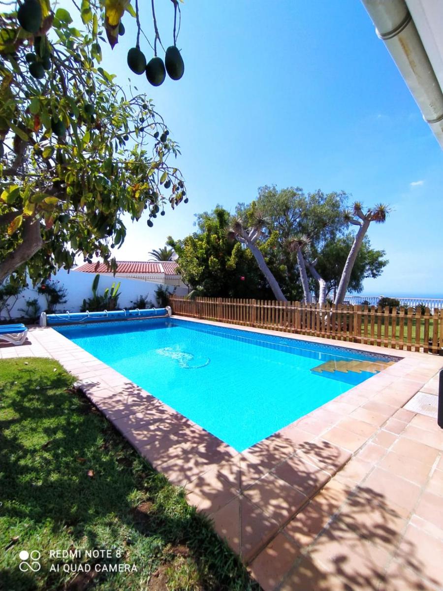 Image 5 of Villa Dragos